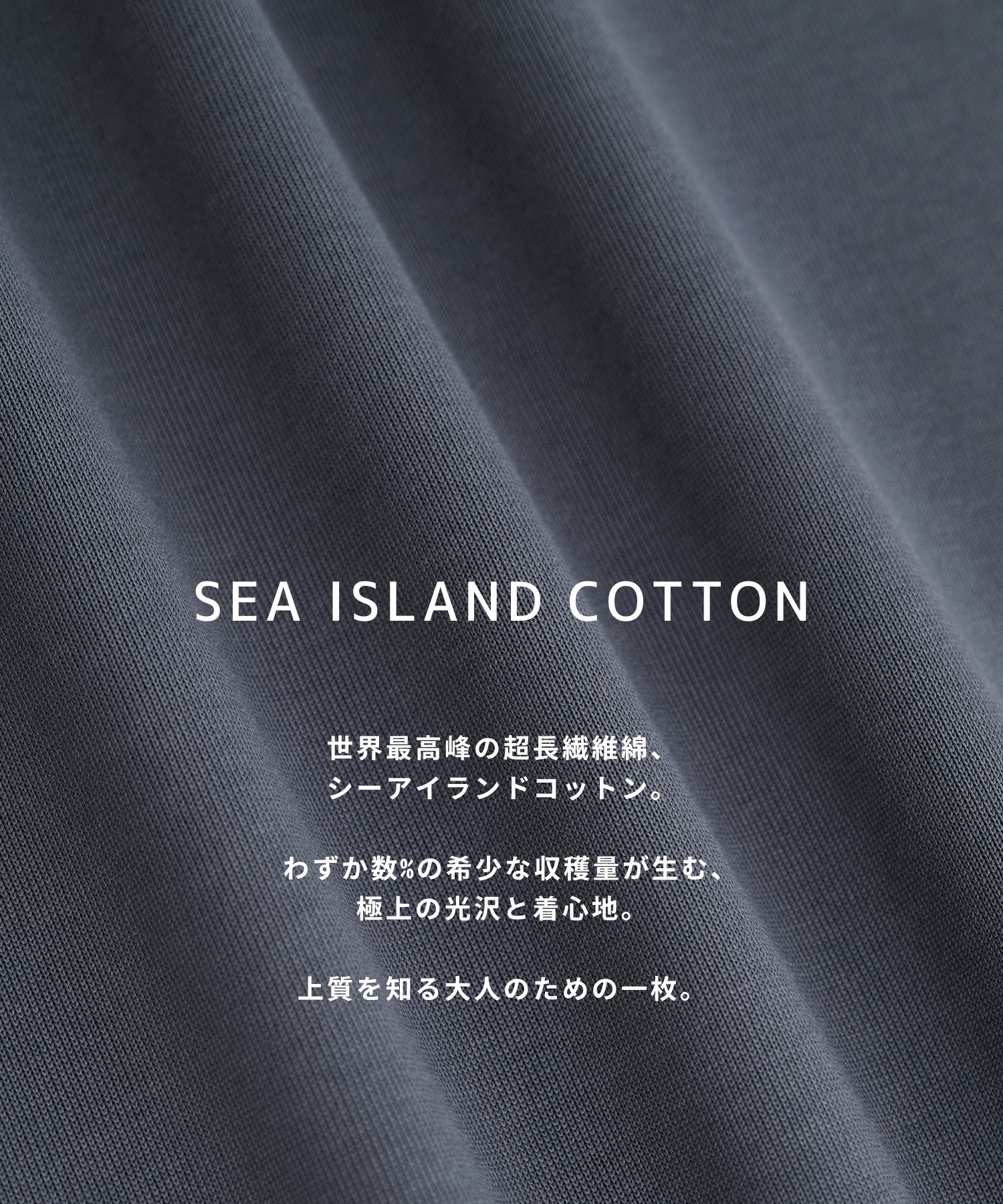 SEA ISLAND COTTON レギュラーTシャツ