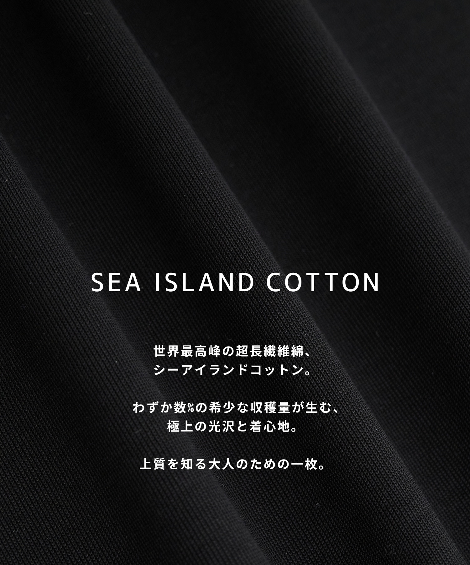 SEA ISLAND COTTON レギュラーTシャツ