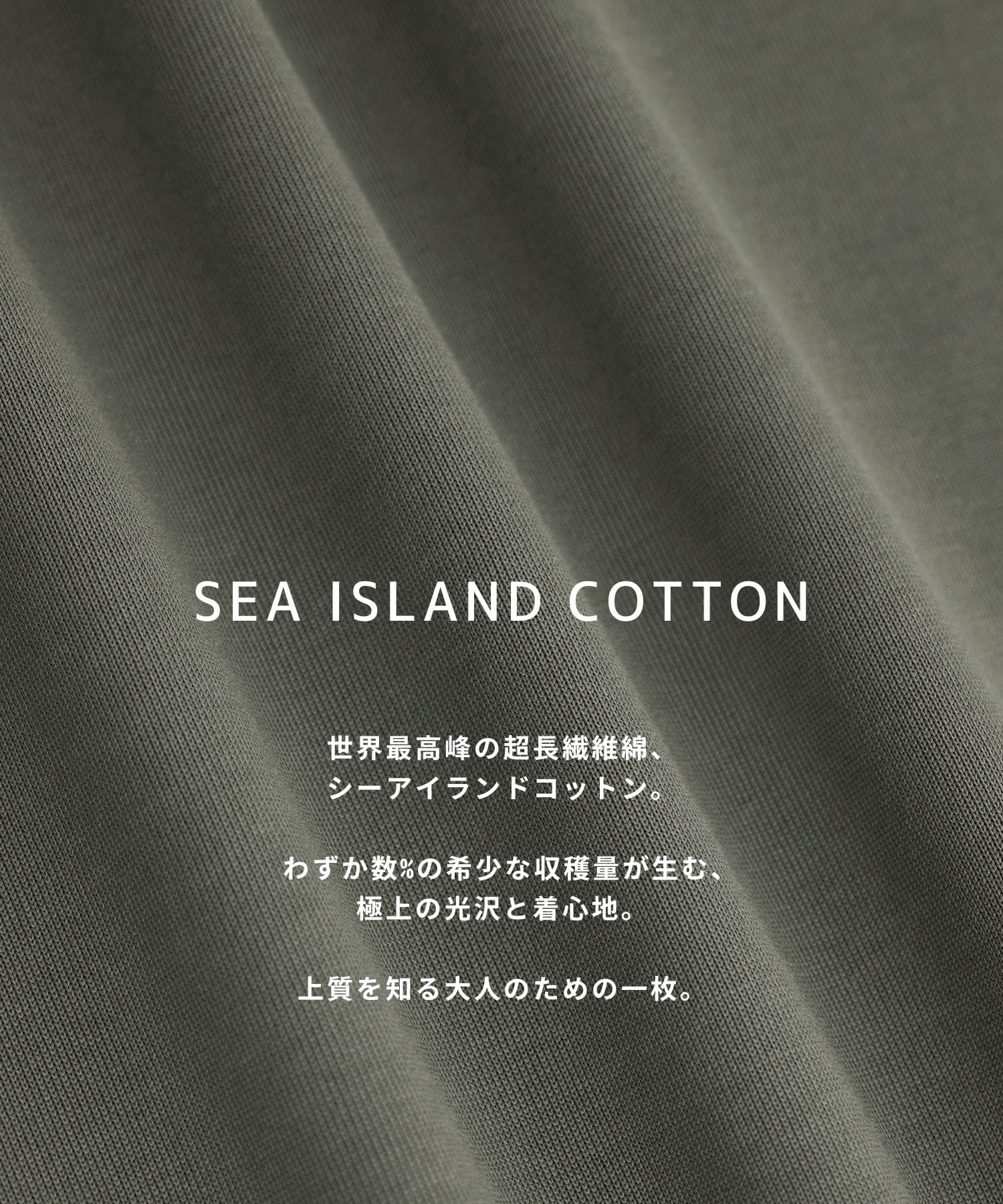 SEA ISLAND COTTON レギュラーTシャツ