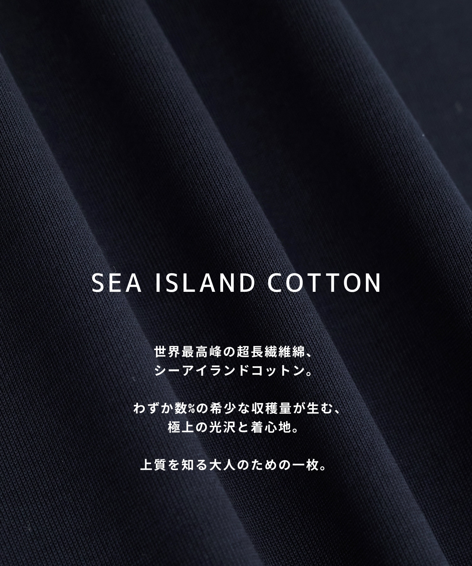 SEA ISLAND COTTON レギュラーTシャツ
