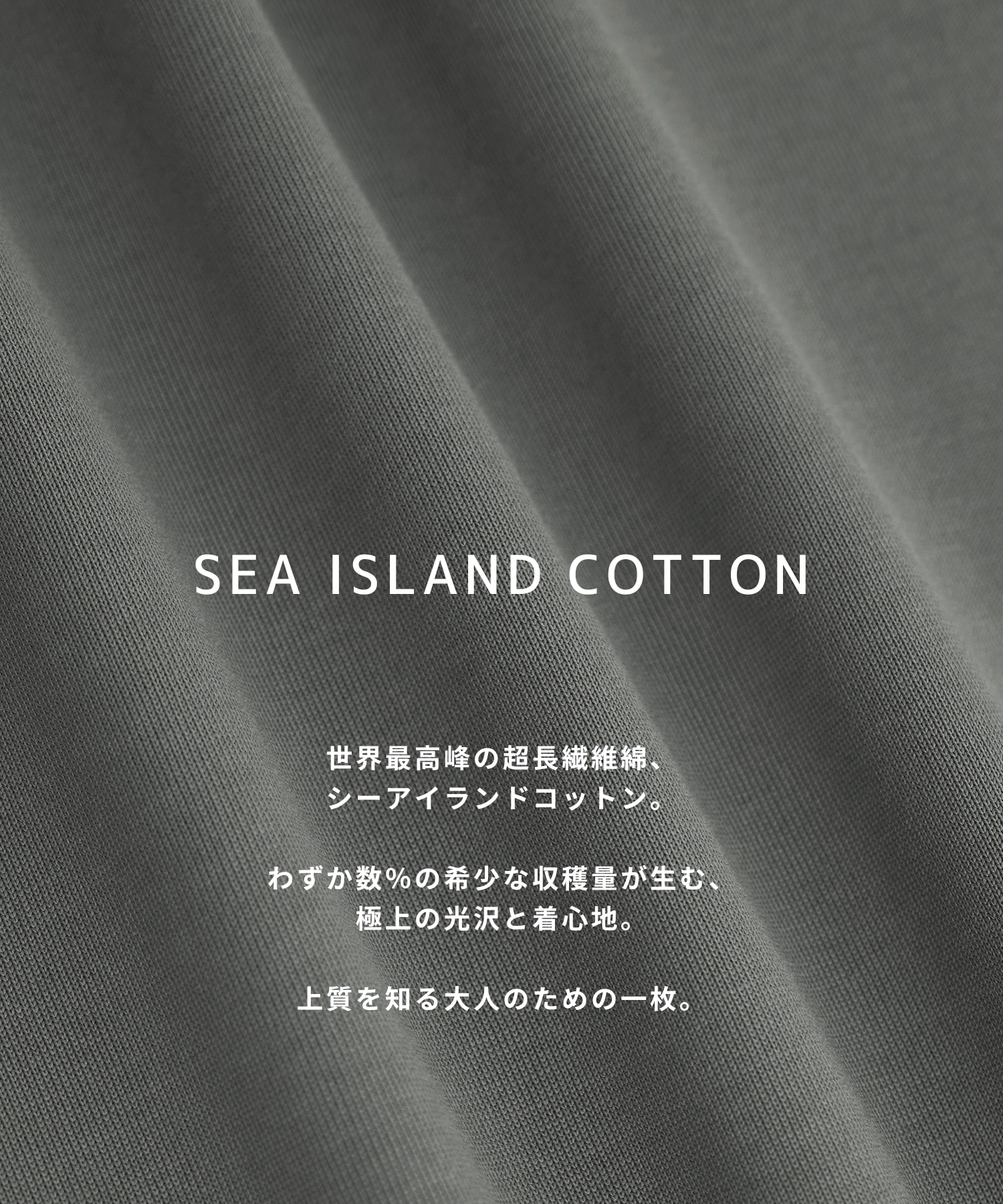 〈2026SS｜WEB限定｜先行予約〉SEA ISLAND COTTON レギュラーTシャツ
