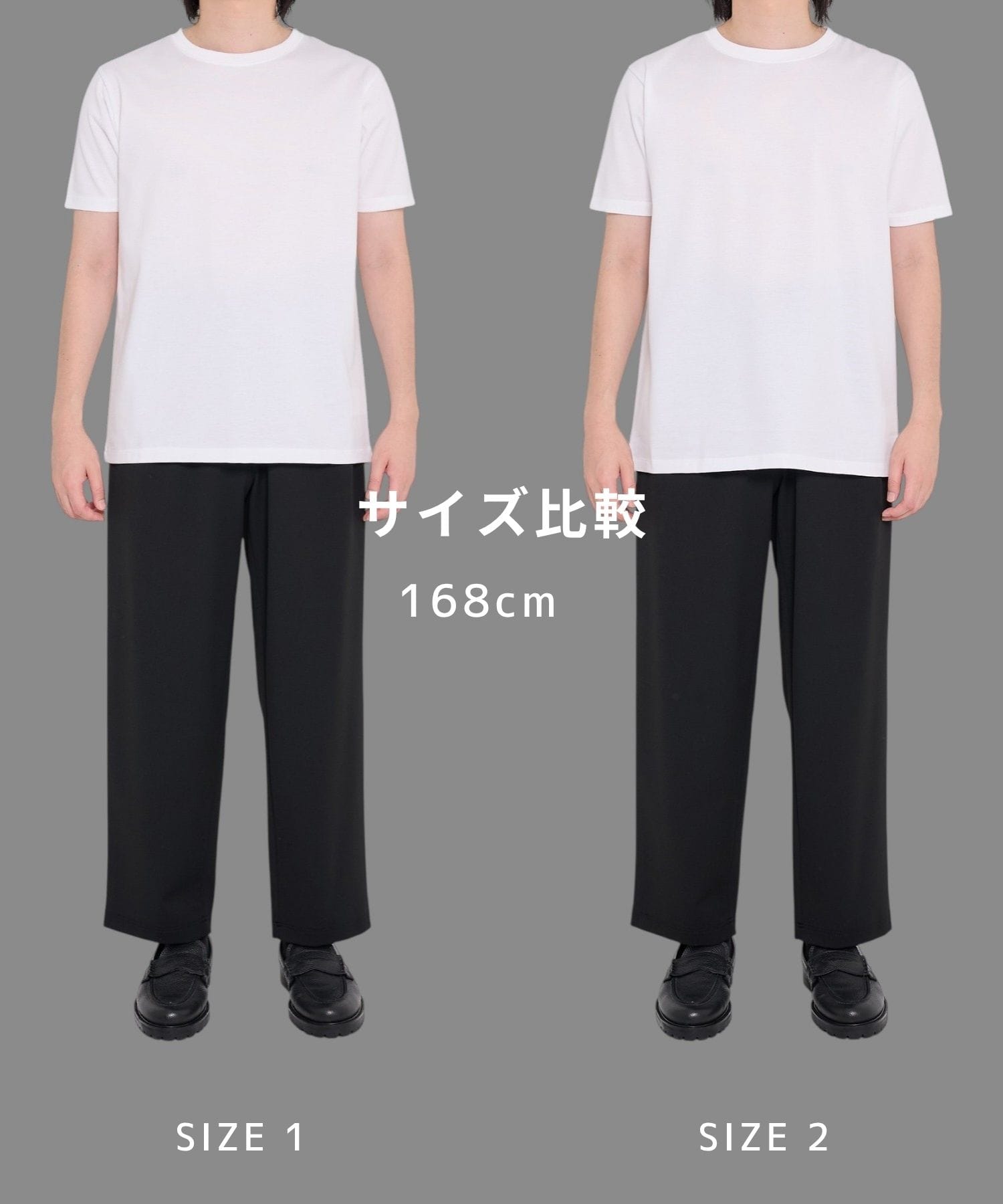 SEA ISLAND COTTON レギュラーTシャツ