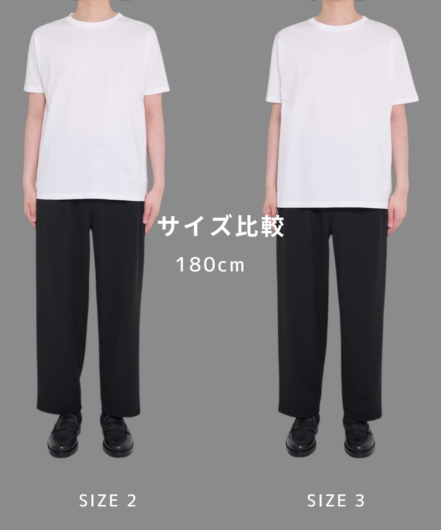SEA ISLAND COTTON レギュラーTシャツ