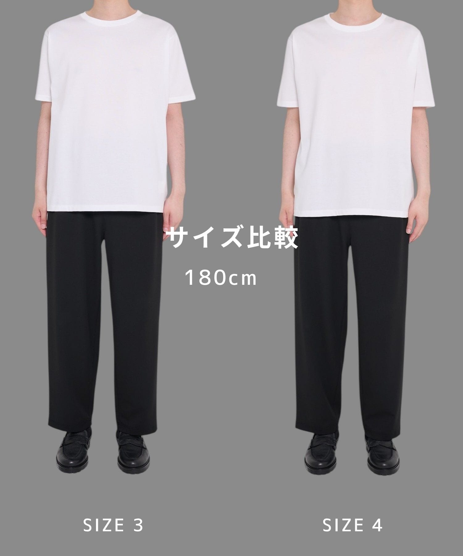 SEA ISLAND COTTON レギュラーTシャツ