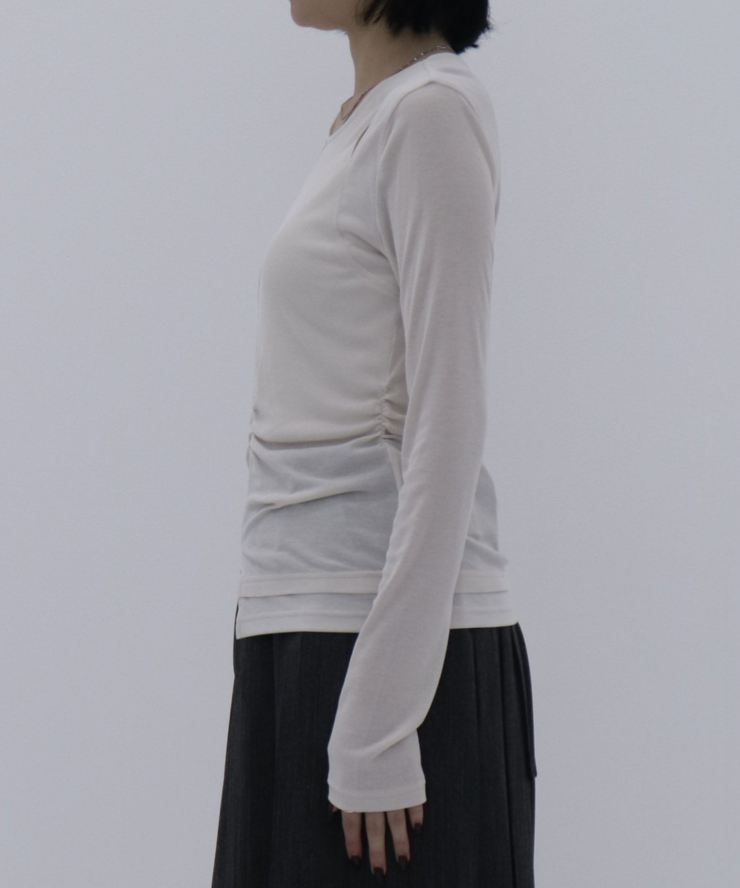 フィブリルレイヤーT