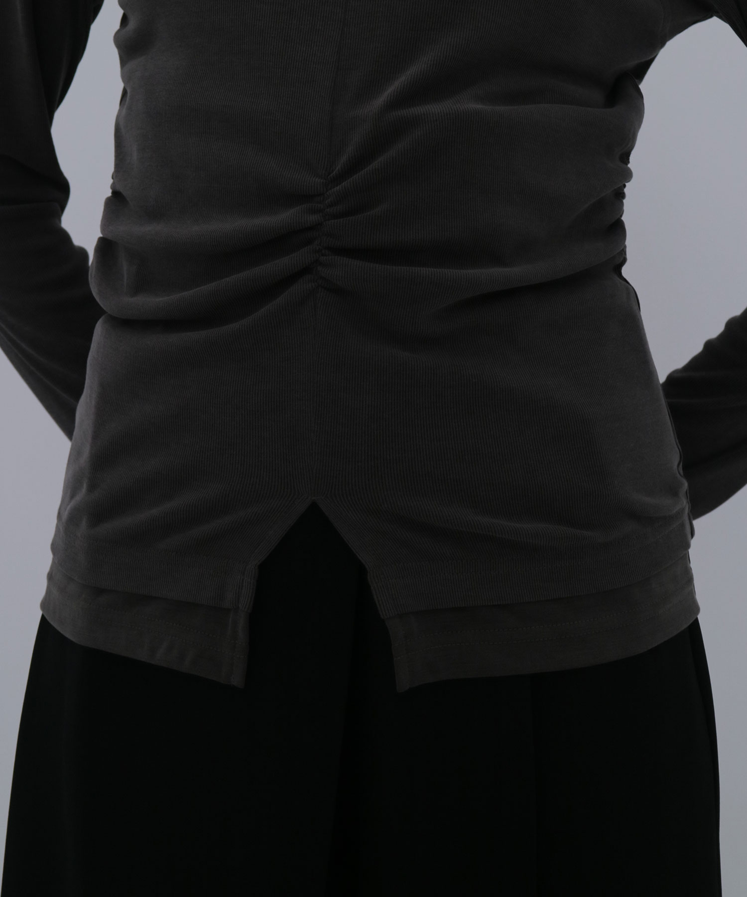 フィブリルレイヤーT