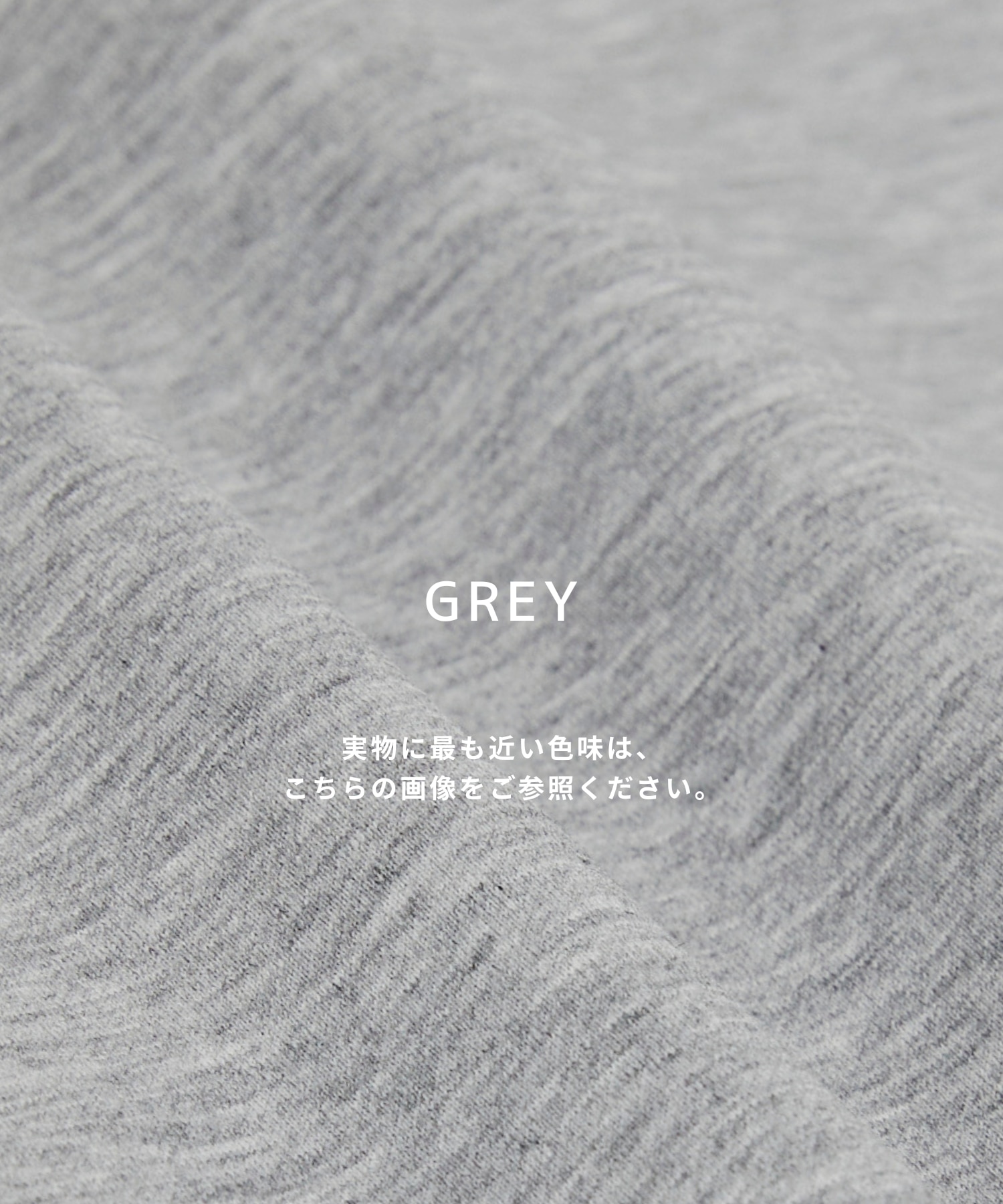 〈2026SS｜WEB先行販売〉SEA ISLAND COTTON スウェット