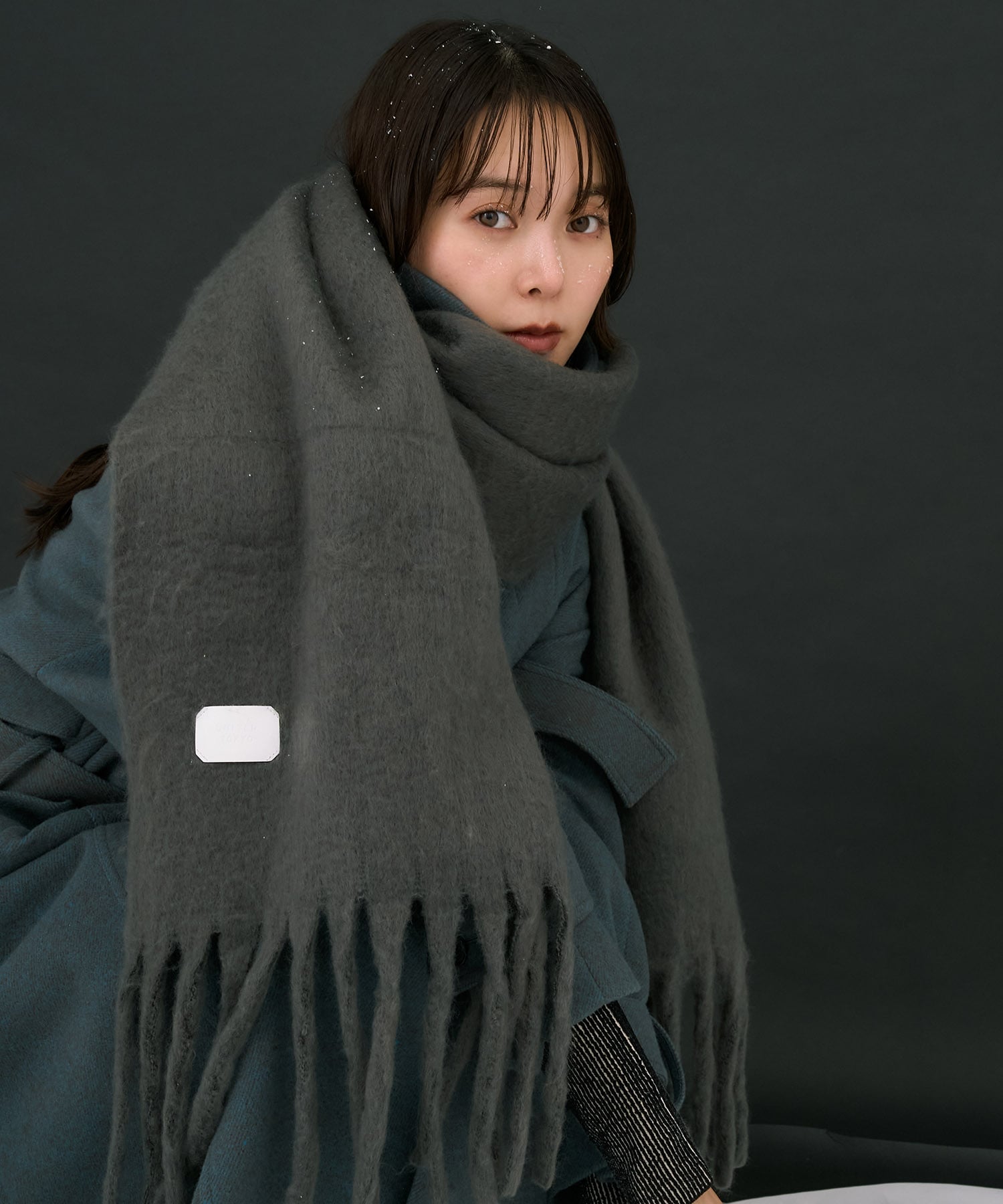 【WEB先行発売】マフラー